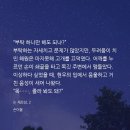 태겸 | [BL/단행]손이불-논제로섬_연초마다 논제로섬 성인되는 애기들한테 추천하는 새끼들은 반성해라...