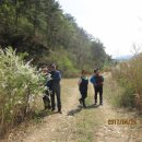 백마농장 이미지