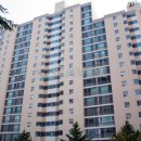 양덕동095 이미지