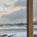 하네다 공항, 도쿄 이세탄 백화점 스토케 트립트랩 예약 구매 후기, 도쿄 에어비엔비 추천, 온러닝 구매