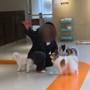 원선파출소 공용화장실 | [대구중구반려동물동반카페] 내돈내산 3층으로 이루어진 넓은 카페 댕하우스