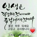 금토끼