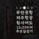 무안공항 제주항공 참사애도 12.29km 추모길걷기 이미지