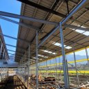 녹색농장 이미지