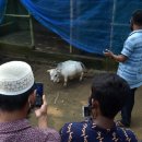 명대농장 이미지