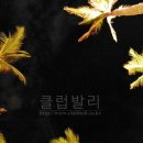 체스 호텔 이미지