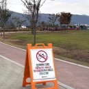 [부산근교 가을명소] 양산 황산공원 국화축제 10월 말 방문 후기(주차, 입장료, 축제 장소, 사진명소)