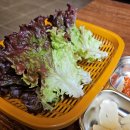 영희네막걸리 네이버블로그