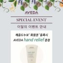 살롱드누보 네이버블로그