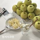 청서사과원 | 청송 시나노골드 사과 맛집, 청서사과원