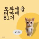 카피에스스토리 | 마케팅 부트캠프/[디지털 마케터 취업 준비] 도와세움 디마에 81기 6주차 (1) 24~25일차 수업 내용 정리...