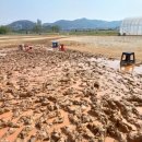 영산강둔치체육공원 이미지