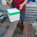 대전해수욕장1 이미지