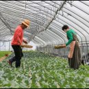 광준농장 이미지