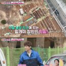 만년사슴농장 이미지