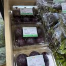 대동농협하나로마트 이미지