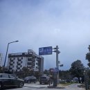 경포호수광장 | 강릉 벚꽃 경포호 경포가시연습지 경포호수광장 주차장 반려견 동반 정보
