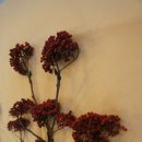 약수식당 이미지