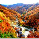 상촌 이미지