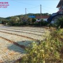 파도리보건진료소 이미지