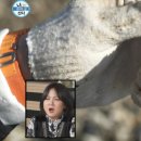 회포풀자