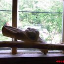 다락산장 이미지