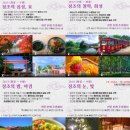 주식회사 동네봄 네이버블로그