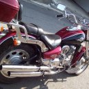 데이스타 이미지