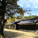 난설헌로 이미지