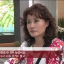 한국스포츠타운 이미지