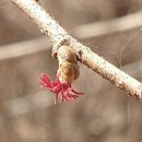 다움학교 이미지