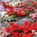 소라아파트앞 이미지