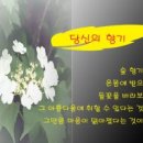 향기 - 창원시 마산합포구 합포동3길 27 | 향기