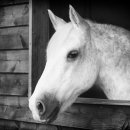 성인기초영어A 이미지