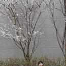 넓은들어린이집 이미지