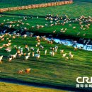 푸른잔디 이미지