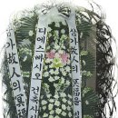 디에스건축사사무소 Daum카페