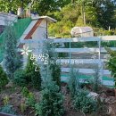 내고2농로 이미지