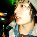 늑대랑여우랑 이미지