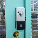 워킹펫살롱 이미지