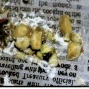 굿닥터동물병원 이미지