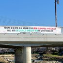 해미천 | 서산 해미천 벚꽃길 개화상황 실시간 해미읍성 산책코스 추천