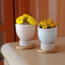 월촌농장 이미지