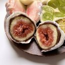 지남목장 | 그냥 좋았던 8 - 9월,