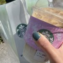 [오프라인] ★생활속 어플 활용법★ / 군자동 | 스타벅스 푸드백 실리콘 리유저블 후기 스프링 증정 재고 총정리