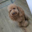 신대동물병원 이미지