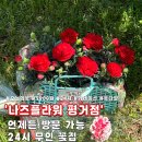 나즈플라워