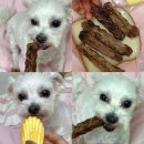 행복하개 희희멍멍 | 맛있는 강아지 수제간식 추천! &lt;행복하개 희희멍멍&gt; 영양간식국내산 오리목뼈 만족한 후기