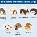 24시해든동물메디컬센터 이미지
