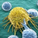 꿈의약국 이미지